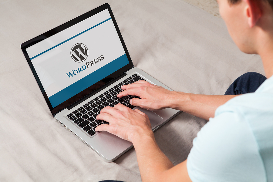WordPress website development - Techerudite