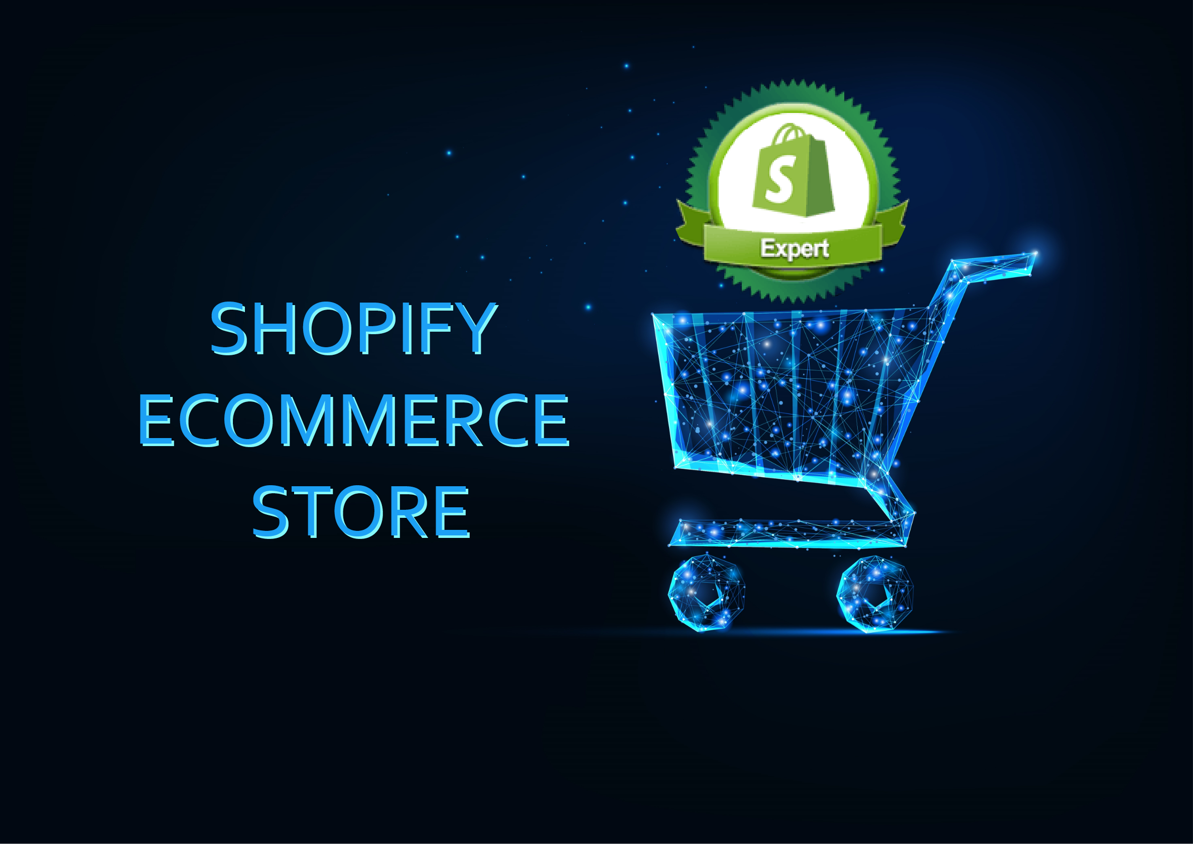 Shopify eCommerce development - Techerudite